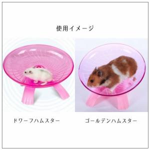 ゴールデンハムスター 回し車 サイズ ペット用品 生き物 の商品一覧 通販 Yahoo ショッピング
