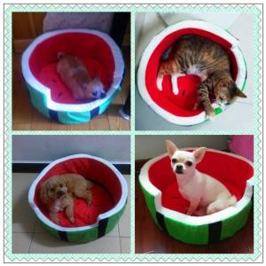 可愛いスイカクッション 犬用ベッド マット カバー の商品一覧 犬用品 ペット用品 生き物 通販 Yahoo ショッピング