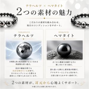 テラヘルツ ダイエット イヤリング 耳つぼ 磁...の詳細画像2