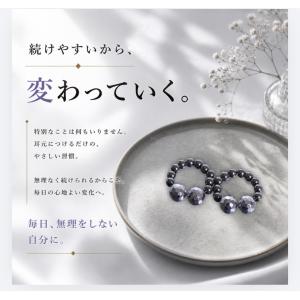 テラヘルツ ダイエット イヤリング 耳つぼ 磁...の詳細画像4