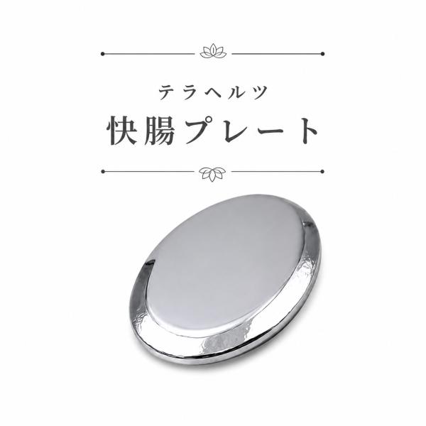 テラヘルツ快腸プレート 専用ポーチ付き