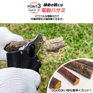 高枝切りバサミ チェーンソー 高枝切り 電動ハ...の詳細画像3