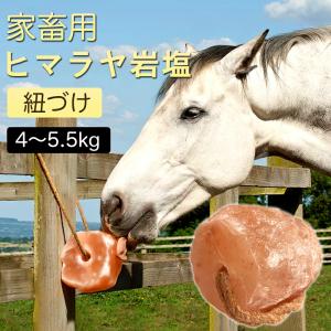 アニマル用岩塩 アニマルソルト 家畜用ソルト 動...の商品画像