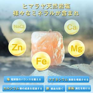 アニマル用岩塩 アニマルソルト 家畜用ソルト ...の詳細画像2