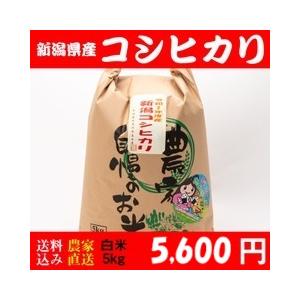 お米 5kg 白米 送料無料 新潟県糸魚川産 コシヒカリ 令和7年度産