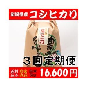 お米 5kg 白米 送料無料 新潟県糸魚川産 コシヒカリ 令和7年度産 3回定期便