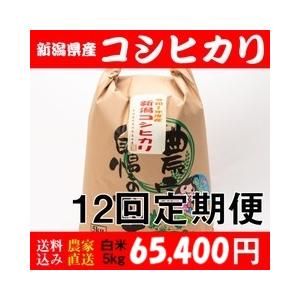お米 5kg 白米 送料無料 新潟県糸魚川産 コシヒカリ 令和7年度産 12回定期便