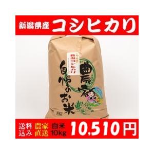 令和６年新米！新潟県糸魚川産☆コシヒカリ玄米30キロ 令和6年産新米予約】米 新潟県産コシヒカリ 玄米30kg 農家直送