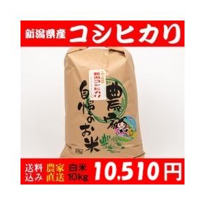 お米 10kg 白米 送料無料 新潟県糸魚川産 コシヒカリ 令和5年度産