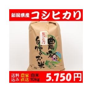 お米 10kg 白米 送料無料 新潟県糸魚川産 コシヒカリ 令和5年度産