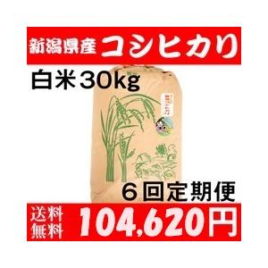 コシヒカリ お米 30kg 白米 送料無料 農家直送 新潟県糸魚川産 コシヒカリ お米 30kg 白米 送料無料 農家直送 新潟県糸魚川産