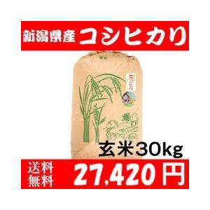 コシヒカリ お米 30kg 玄米 送料無料 新潟県糸魚川産 農家直送 令和7