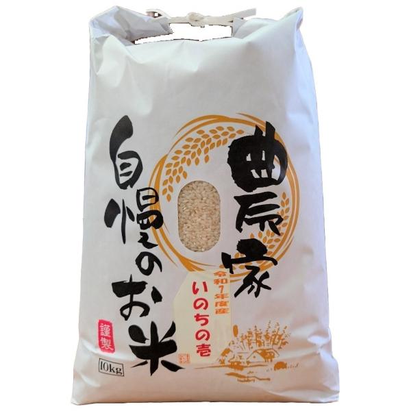 【いのちの壱】お米 10kg 白米 送料無料 新潟県糸魚川産 令和7年度産 12回定期便