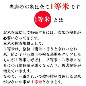 ななつぼし 無洗米 5kg(5kg×1袋)7年...の詳細画像2