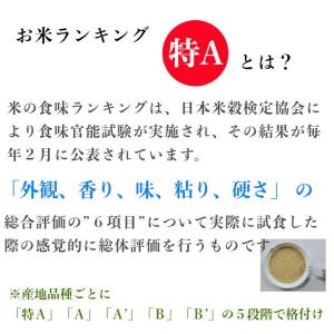 ななつぼし 無洗米 2kg×1袋 7年産 北海...の詳細画像3