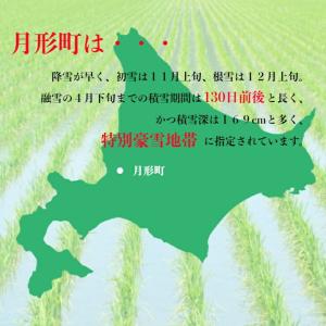 ななつぼし 一般精米 10kg(5kg×2袋)...の詳細画像1
