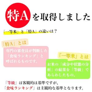 ななつぼし 一般精米 10kg(5kg×2袋)...の詳細画像3