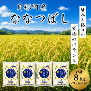 ななつぼし 2kg×4袋 無洗米7年産 北海道産...の商品画像