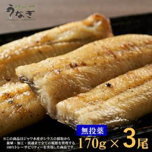 ジャワ うなぎ 白焼き 鰻 長焼き 特大サイズ 170g 3本 タレ（山椒）付き ふるさと ギフト 2024 無投薬 オーガニック 国産 たれ｜jawasuisan