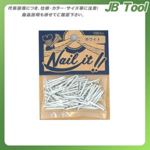 若井産業 NAILIT釘#17×19 100本袋入 ホワイト NF10010｜jb-tool