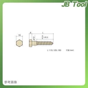 カネシン ラグスクリュー (50本入) LS12×110｜jb-tool