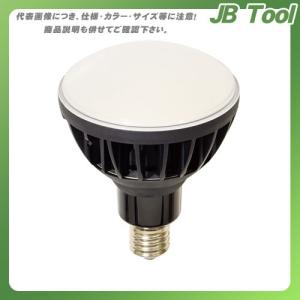 日動工業 エコビック 50 50W 昼白色(黒) L50V2-J110BK-50K｜jb-tool