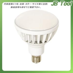 日動工業 エコビック 50 50W 昼白色(白) L50V2-J110W-50K｜jb-tool