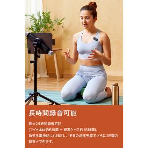 JBL公式 ワイヤレスゲーミングマイク JBL...の詳細画像4