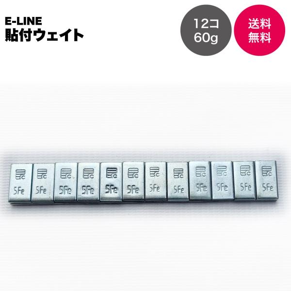 【プロ用】E-LINE 貼付ウェイト（鉄）5g×12コセット