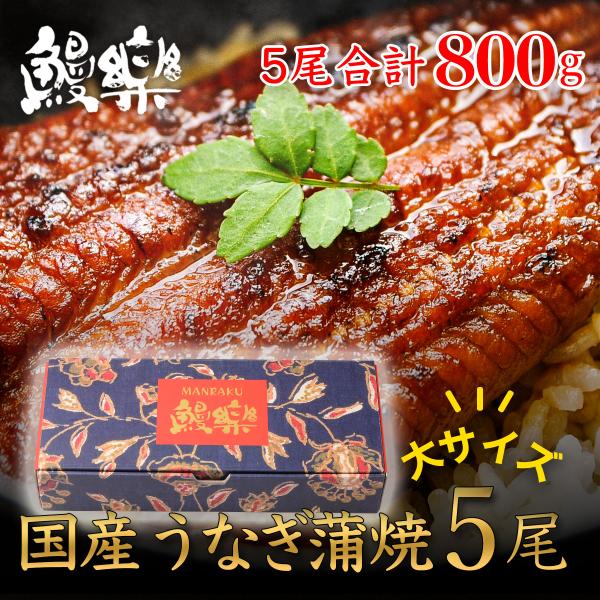 うなぎ お歳暮 2025 鰻楽 国産 蒲焼 長焼5尾 セット 鰻 ウナギ 蒲焼き 冷凍 真空パック ...