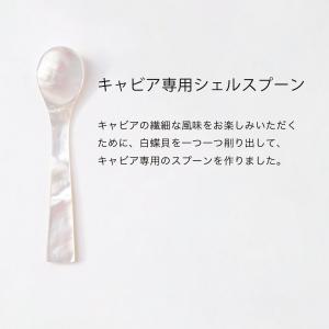 スプーン キャビア専用シェルスプーン 白蝶貝ス...の詳細画像1