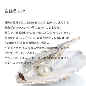 スプーン キャビア専用シェルスプーン 白蝶貝ス...の詳細画像2