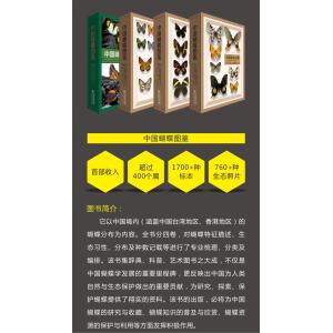中国蝴蝶図鑑(全4册)の詳細画像1