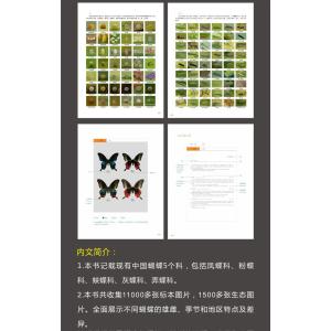 中国蝴蝶図鑑(全4册)の詳細画像3