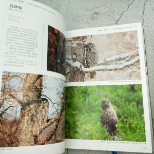 中国鳥類図鑑(全3巻)の詳細画像4