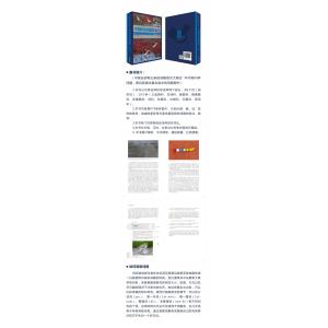 中国鳥類図鑑 [行鳥]鷸版の詳細画像1
