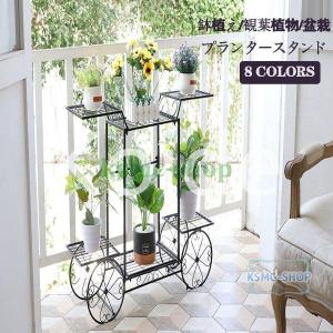 フラワースタンド アイアン ガーデニング 棚 鉢植え/観葉植物/盆栽