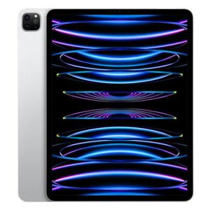 Apple iPad Pro 11インチ Wi-Fi ＋ Cellular 128GB シルバー 2022年