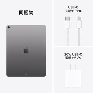 ★新品未開封 2024モデルApple 13イ...の詳細画像1