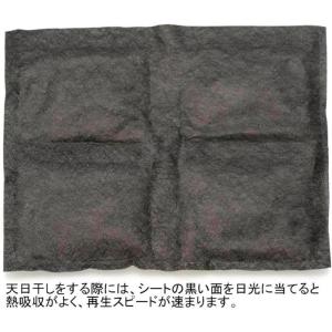 Kenko 乾燥剤 ドライフレッシュ シートタ...の詳細画像3