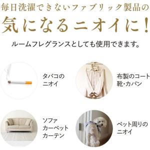 ランドリン ファブリックミスト 携帯用 クラシ...の詳細画像4