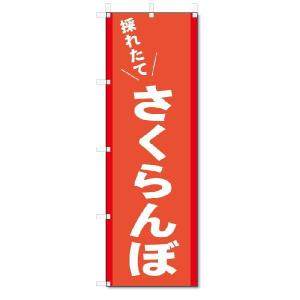 のぼり　のぼり旗　採れたて　さくらんぼ(W600×H1800)｜jcshop-nobori