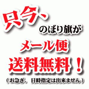 のぼり旗 スイカ (W600×H1800)の詳細画像1