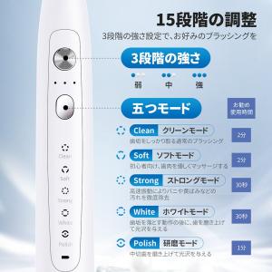 電動歯ブラシ 音波歯ブラシ 42000回/分 ...の詳細画像2