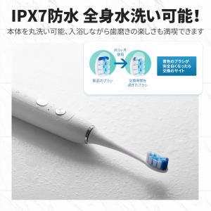 電動歯ブラシ 音波歯ブラシ 42000回/分 ...の詳細画像3