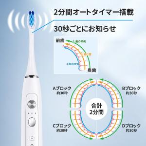 電動歯ブラシ 音波歯ブラシ 42000回/分 ...の詳細画像4