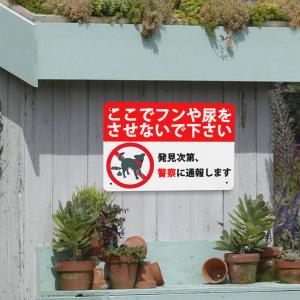 犬糞尿禁止,ここでフンや尿をさせないで下さい ...の詳細画像3
