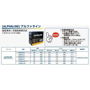 アペックス（APEX） APEXi ECV コントロール ケーブル 2m 単体 155