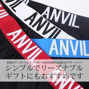 クロネコゆうパケット対応 ANVIL アンヴィ...の詳細画像1