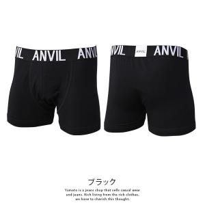 クロネコゆうパケット対応 ANVIL アンヴィ...の詳細画像3